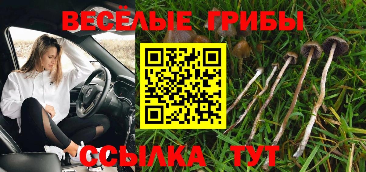 Ступино  Псилоцибиновые грибы мицелий  Галлюциногенные грибы мицелий  Вход с VPN 
